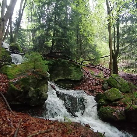 La Fortance Paradis Naturel - Proche De La Ville Planfoy Dış mekan fotoğraf
