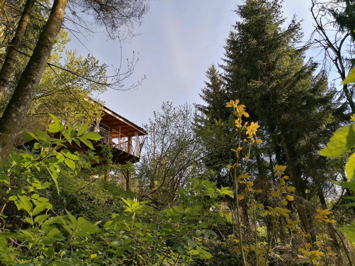 La Fortance Paradis Naturel - Proche De La Ville Planfoy Dış mekan fotoğraf