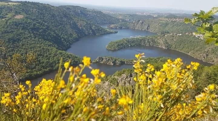 La Fortance Paradis Naturel - Proche De La Ville Planfoy Dış mekan fotoğraf