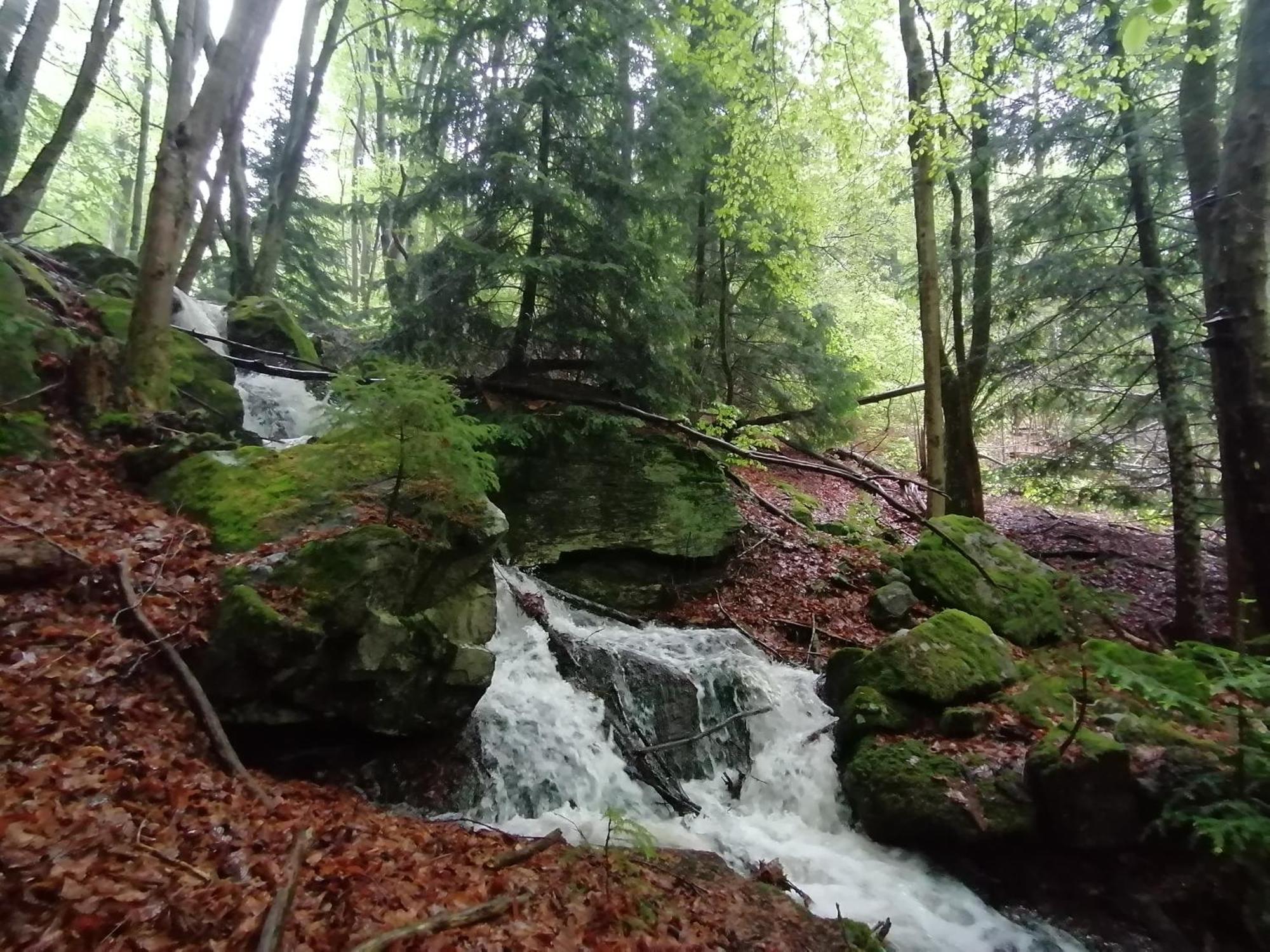 La Fortance Paradis Naturel - Proche De La Ville Planfoy Dış mekan fotoğraf