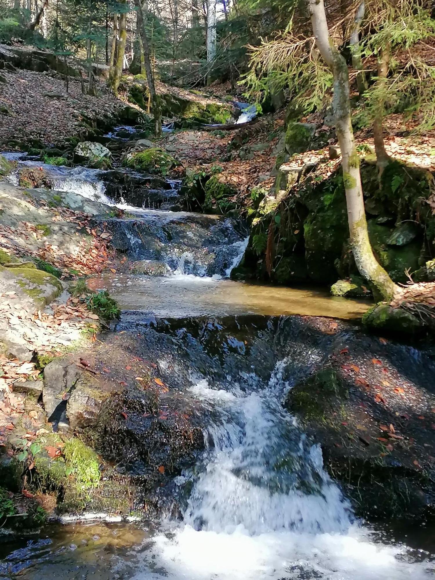 La Fortance Paradis Naturel - Proche De La Ville Planfoy Dış mekan fotoğraf