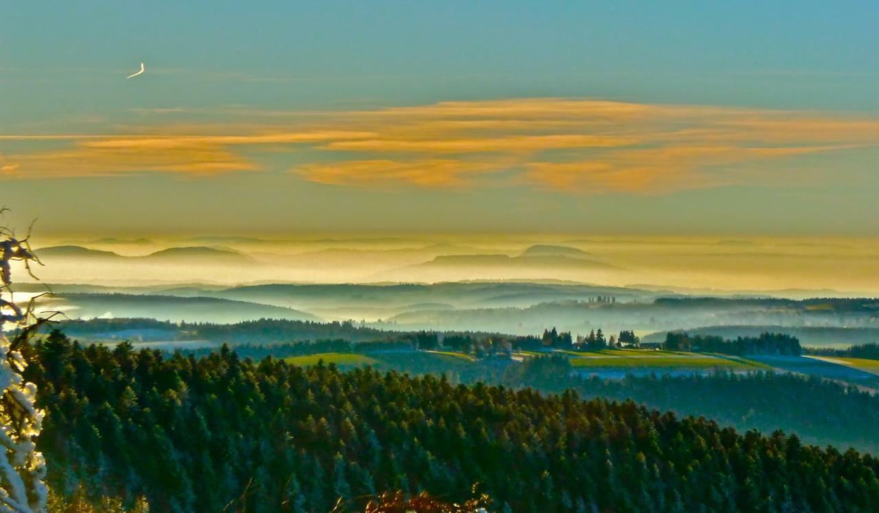 La Fortance Paradis Naturel - Proche De La Ville Planfoy Dış mekan fotoğraf