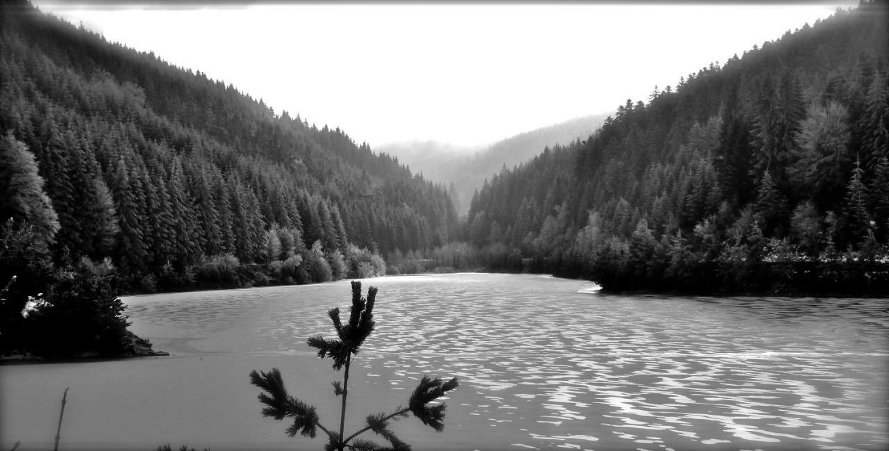 La Fortance Paradis Naturel - Proche De La Ville Planfoy Dış mekan fotoğraf