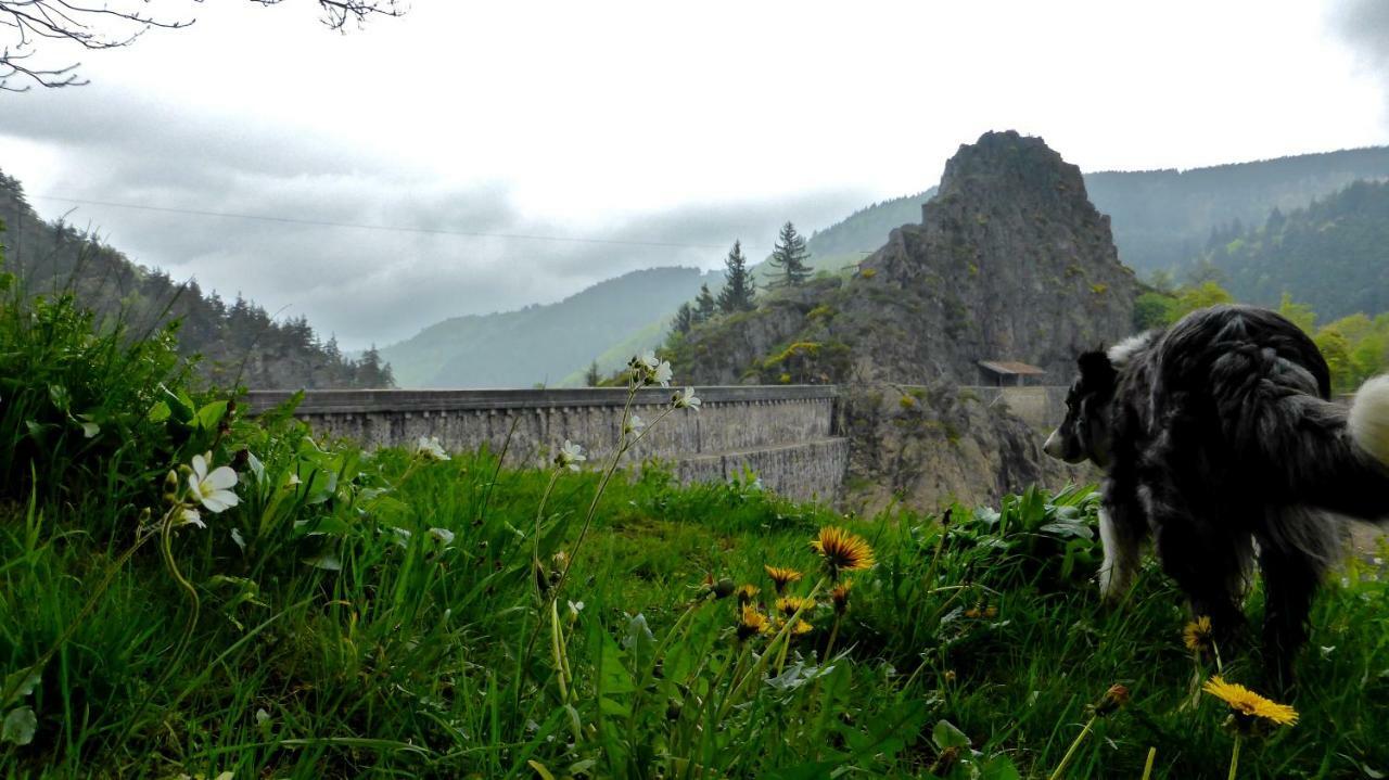 La Fortance Paradis Naturel - Proche De La Ville Planfoy Dış mekan fotoğraf